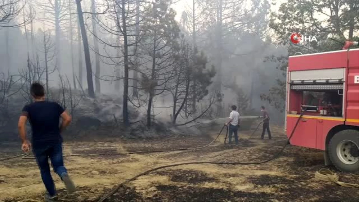 Kütahya\'da orman yangını: 3 hektarlık alan yandı