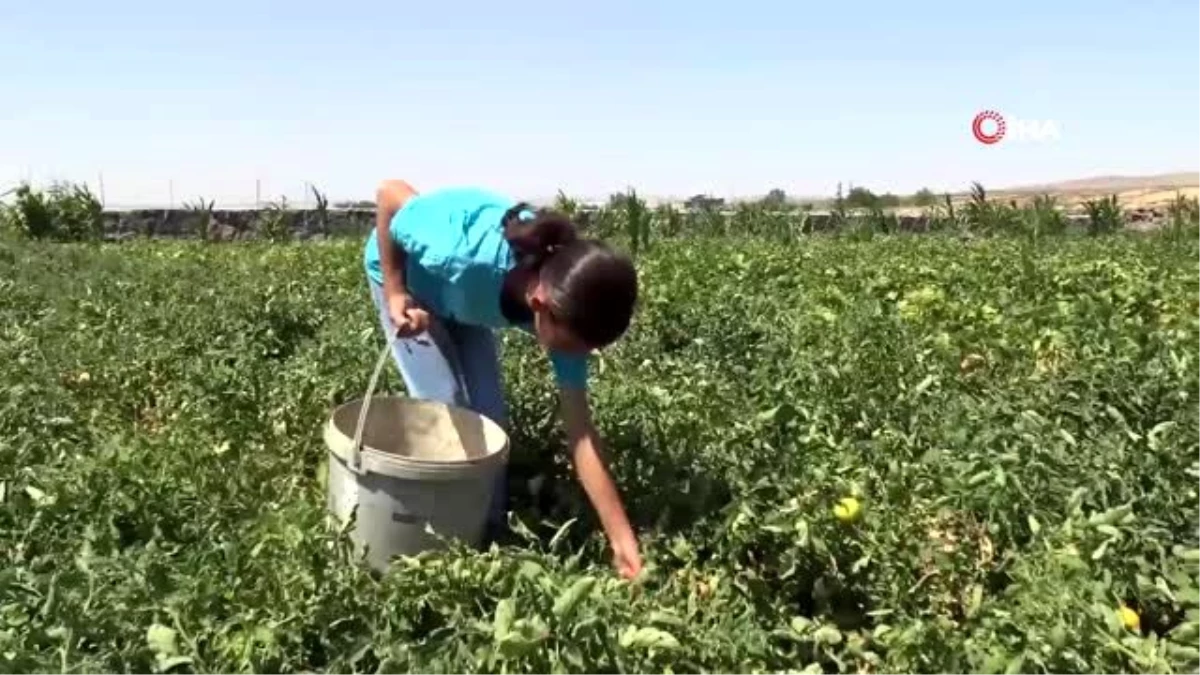 Şanlıurfa Valisi kız öğrencinin tablet isteğini geri çevirmedi