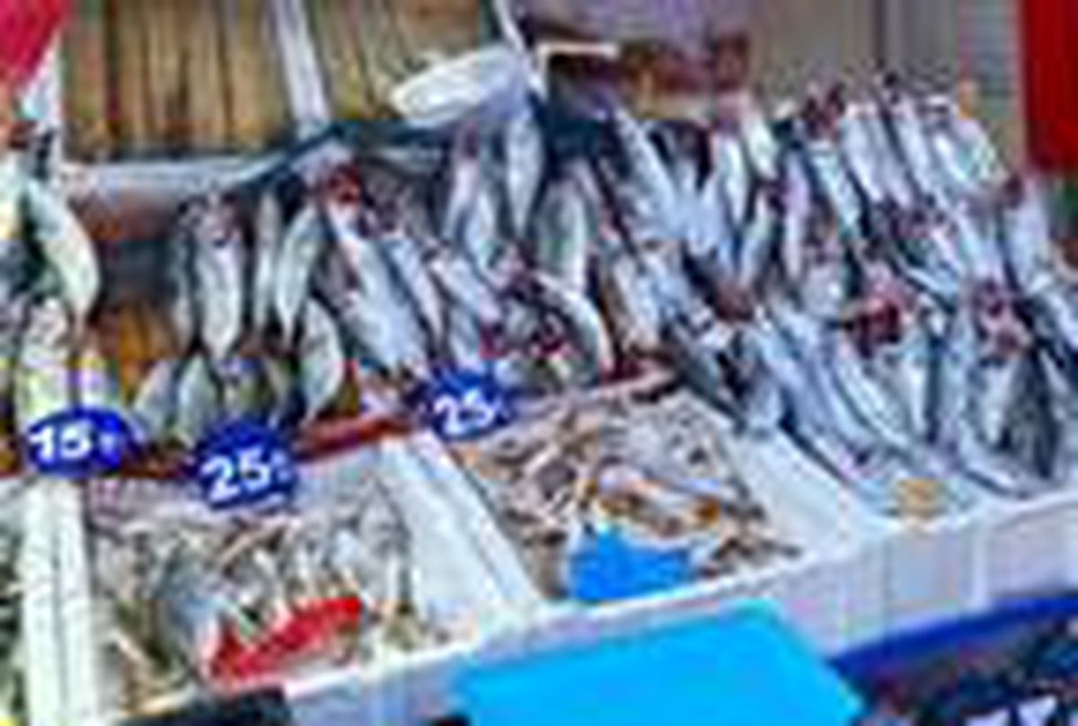 Zonguldak\'ta tezgahlar balık doldu