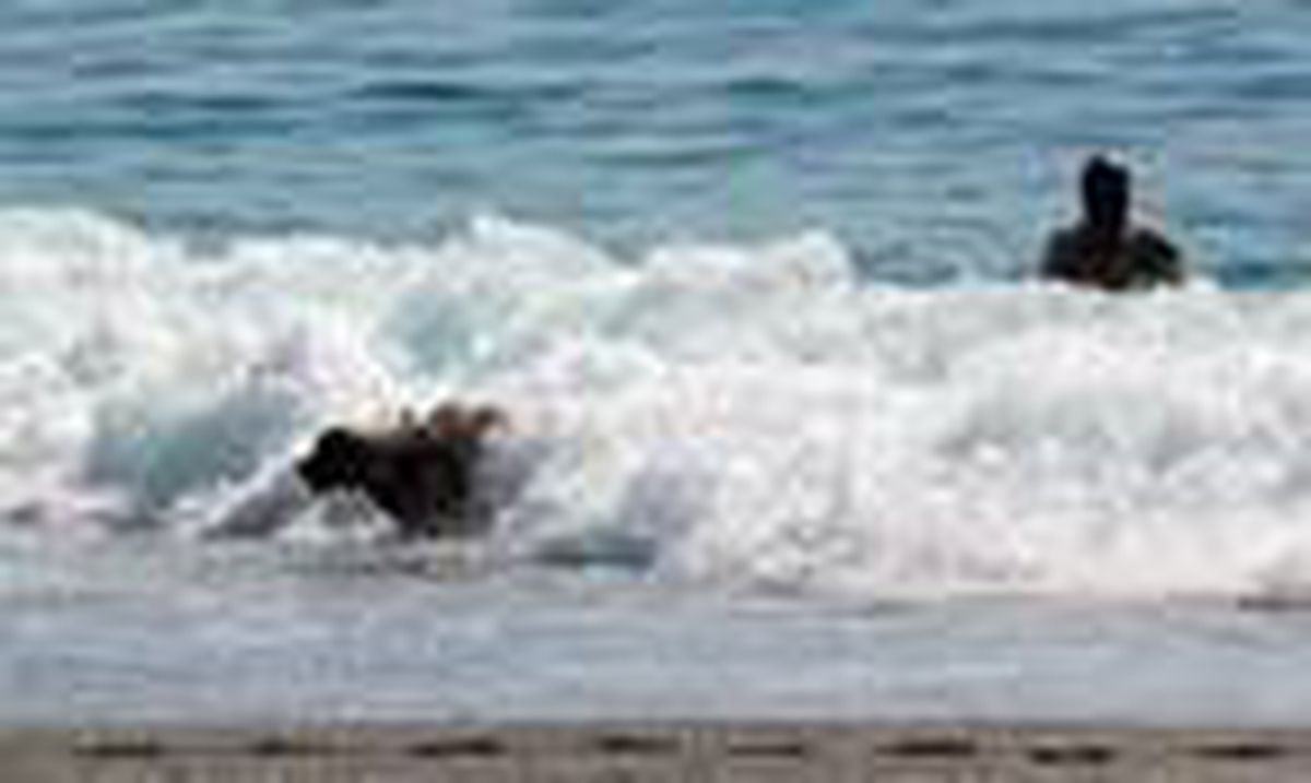 Alanya sıcağında, köpeğiyle denizde serinledi