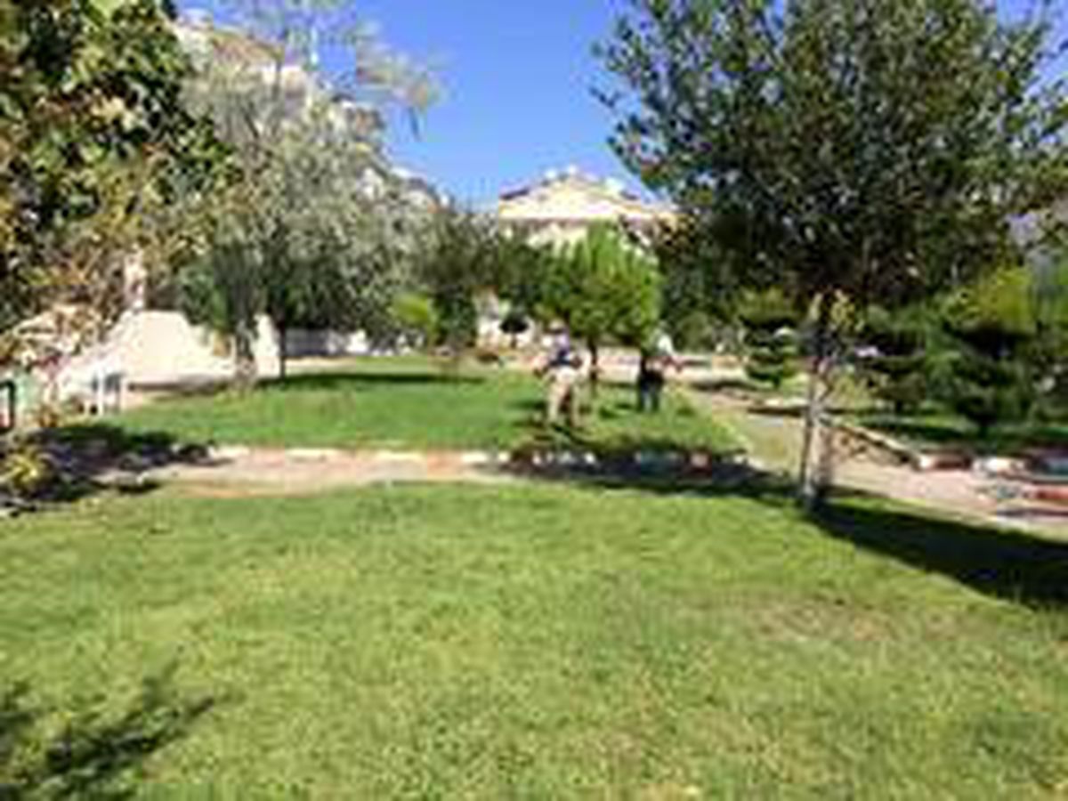 Didim Belediyesi Park Bahçeler Müdürlüğü ekipleri çalışmalarını sürdürüyor