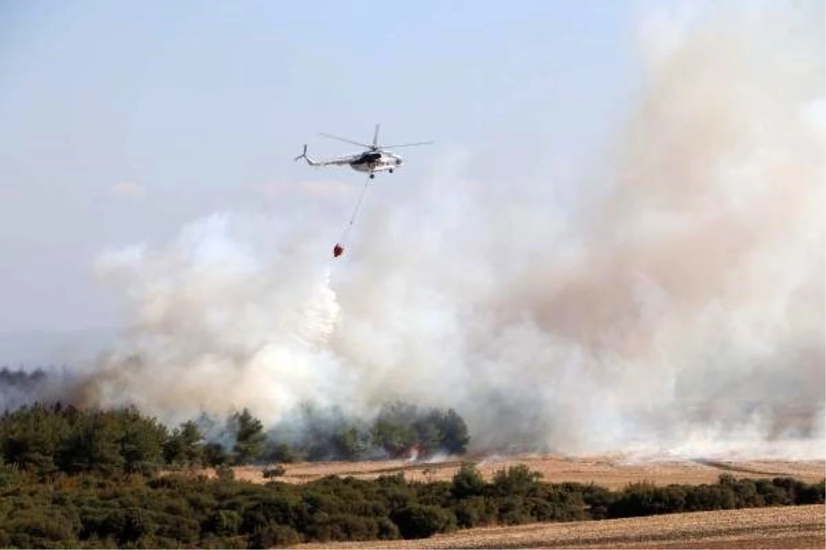 Son dakika haberleri: Gelibolu\'da orman yangını kontrol altına alındı (2)