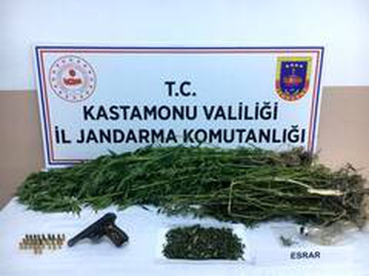 Jandarma ekiplerinden kenevir operasyonu