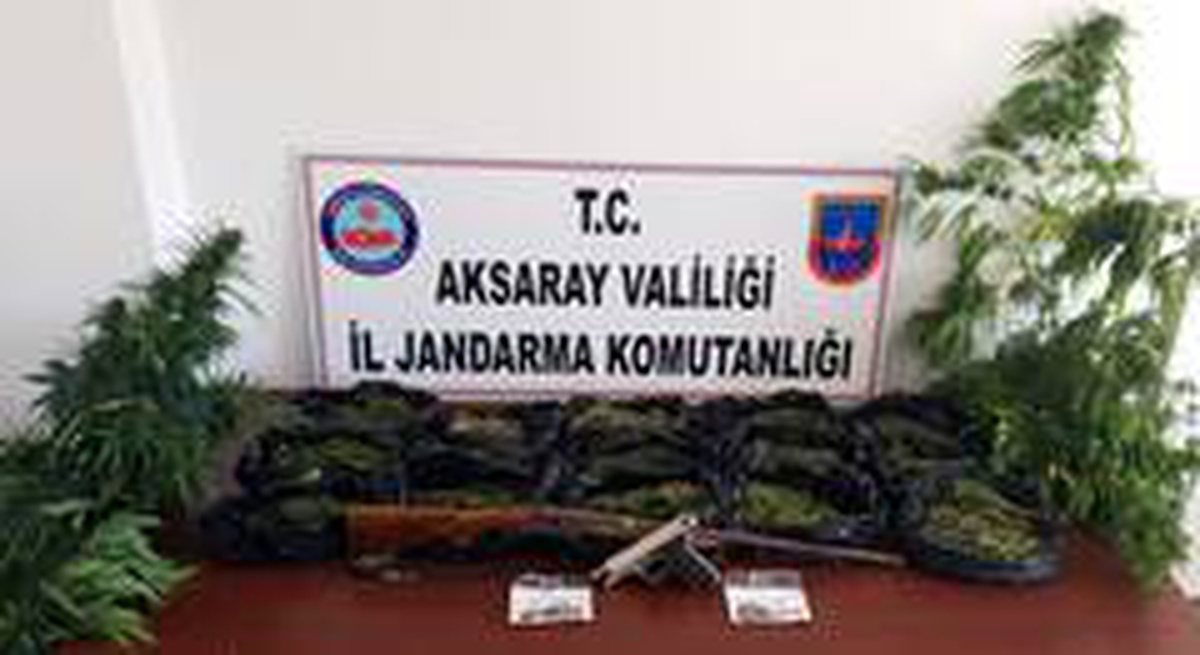 Son dakika... Kenevir ve esrar satıcılarına jandarma darbesi