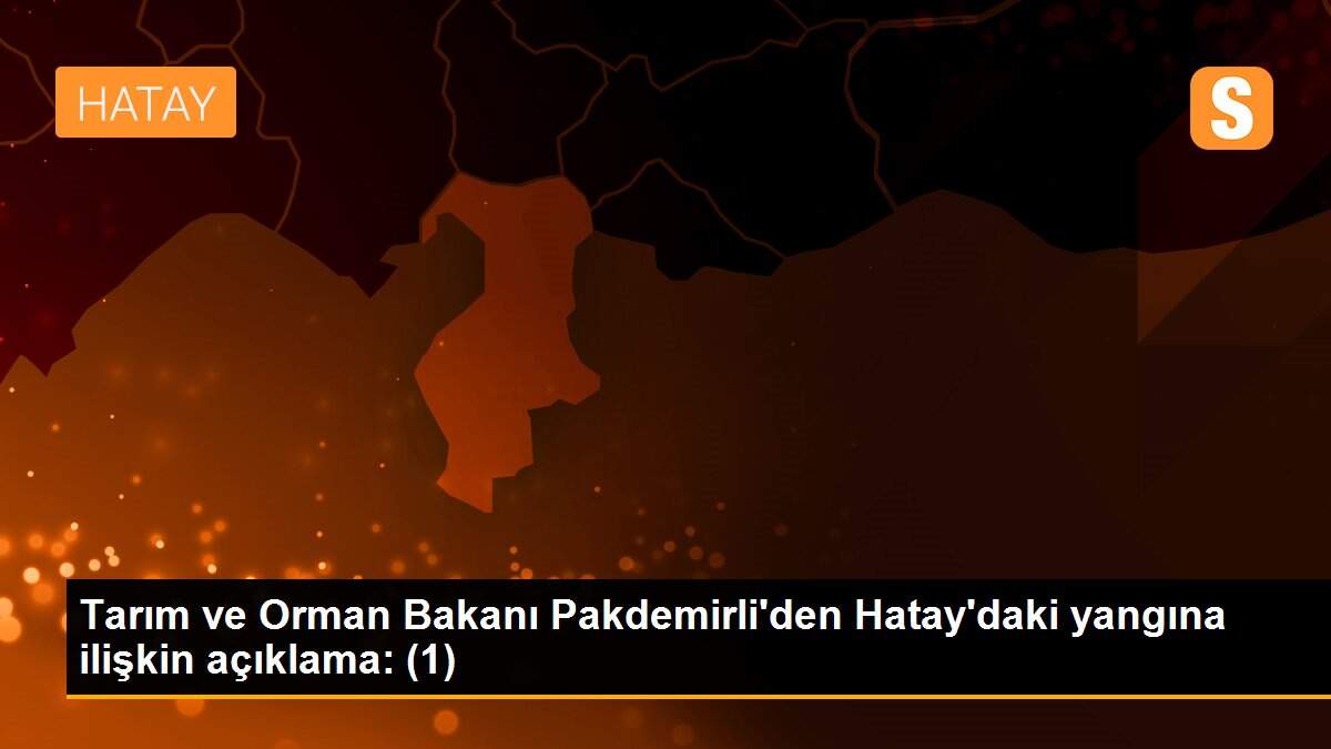 Son dakika haberleri: Tarım ve Orman Bakanı Pakdemirli\'den Hatay\'daki yangına ilişkin açıklama: (1)