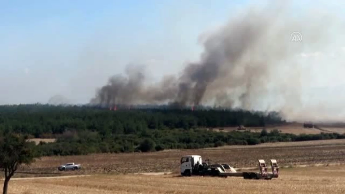 Yangında 50 dönüm tarım arazisi zarar gördü