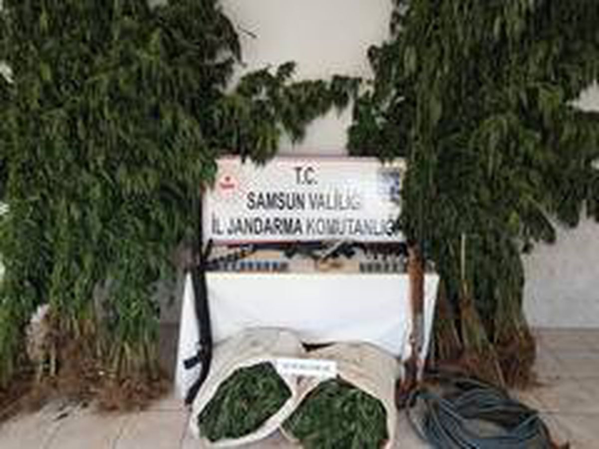 Bafra\'da uyuşturucu operasyonu