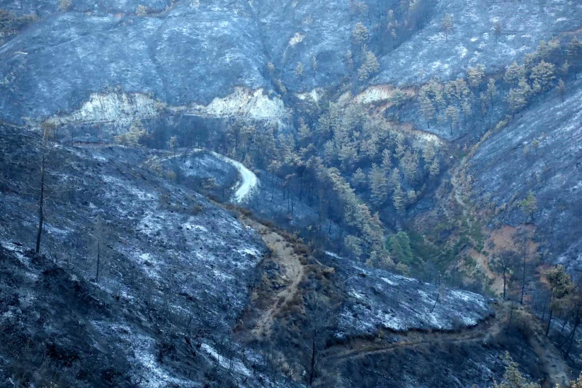 Başkan Savaş yangın bölgesinde incelemelerde bulundu