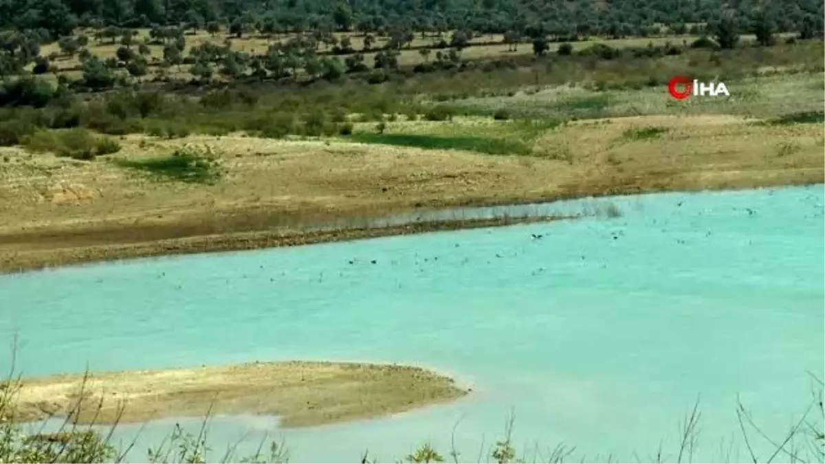 Bodrum\'u besleyen su kaynağı tükenmeye başladı