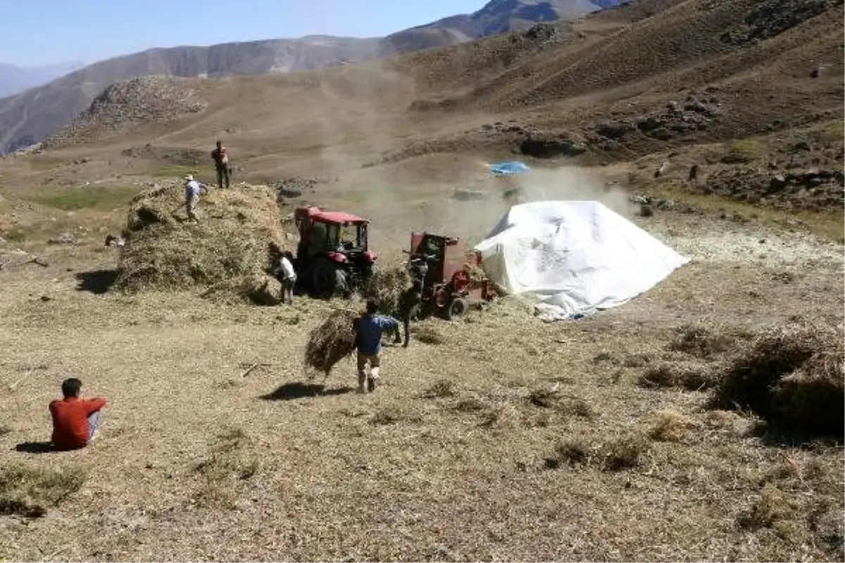 Hakkari\'de besicilerin kış hazırlıkları başladı