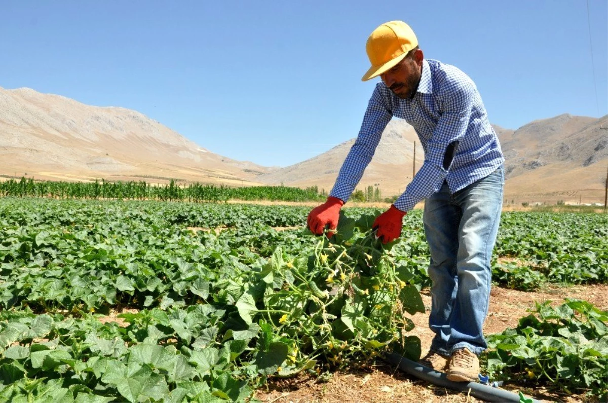 Hayırseverler destek verdi, o emeği ve alın teriyle üretti