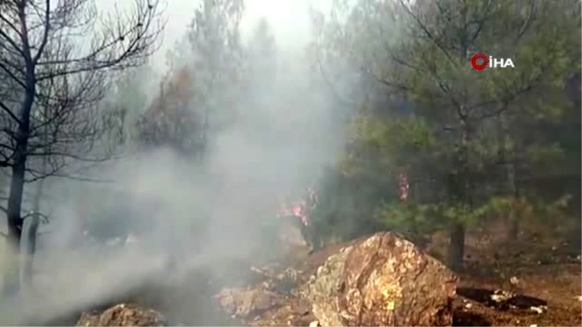 Kavaklıdere\'deki orman yangını kontrol altına alındı