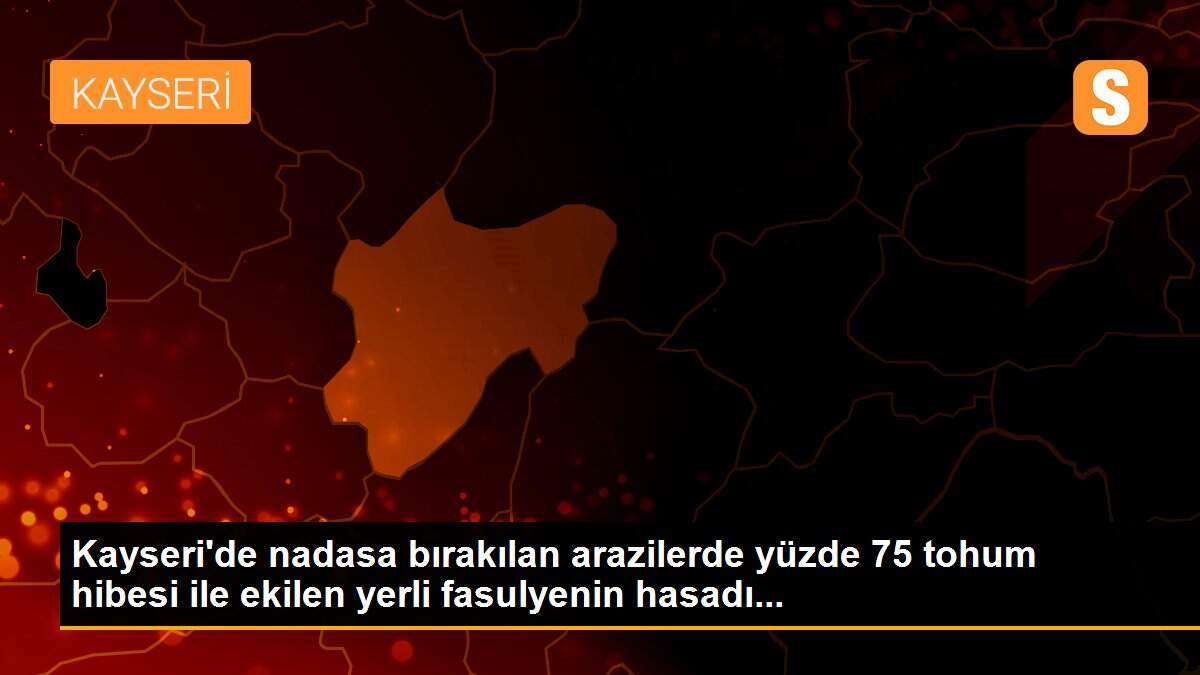 Kayseri\'de nadasa bırakılan arazilerde yüzde 75 tohum hibesi ile ekilen yerli fasulyenin hasadı...