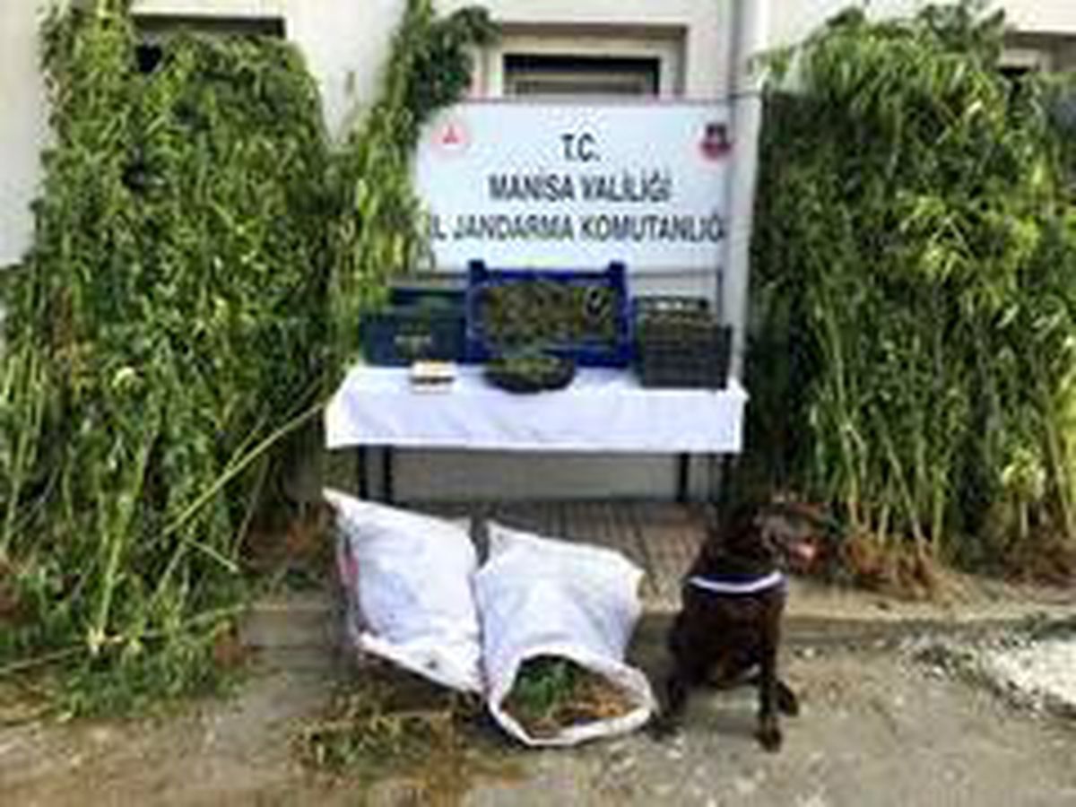 Manisa\'da 23 milyon liralık uyuşturucu ele geçirildi