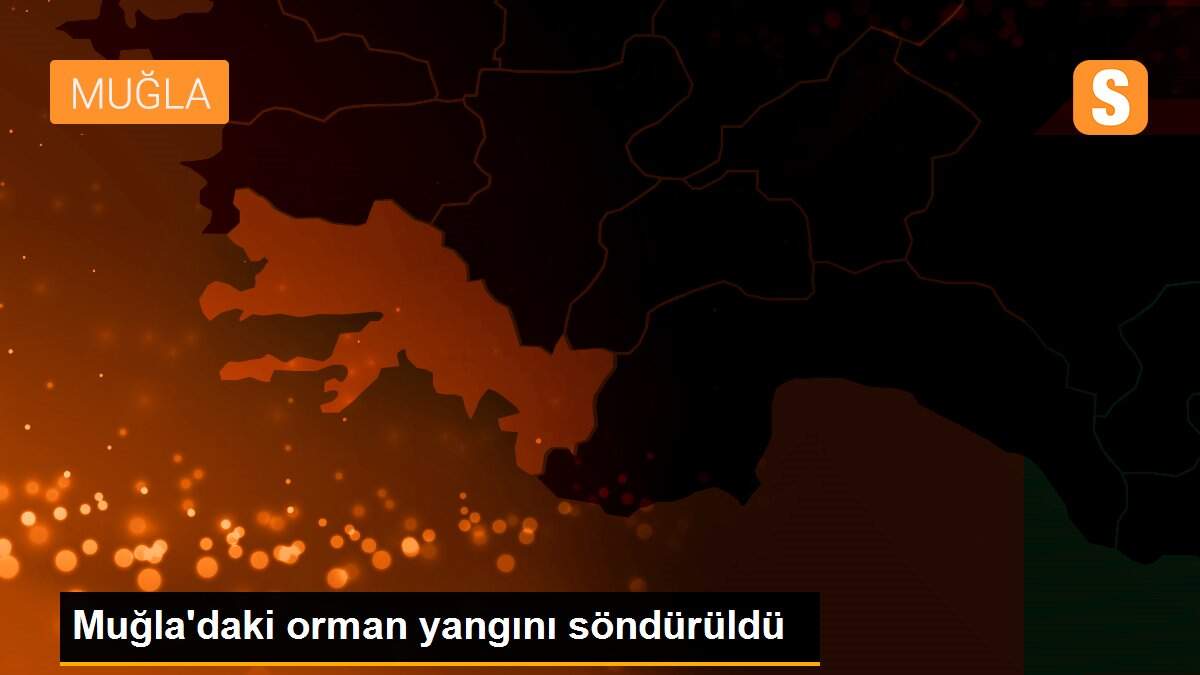 Muğla\'daki orman yangını söndürüldü