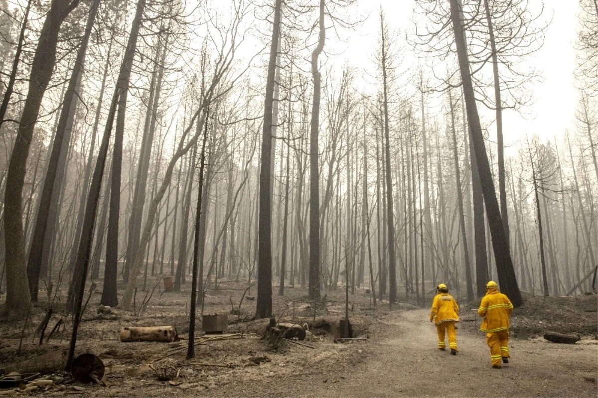 ABD\'deki orman yangınlarında ölü sayısı 23\'e yükseldi