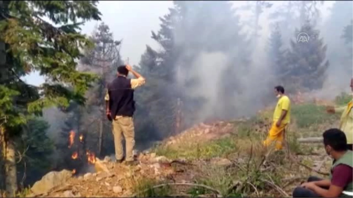 Düziçi\'nde orman yangını (2)