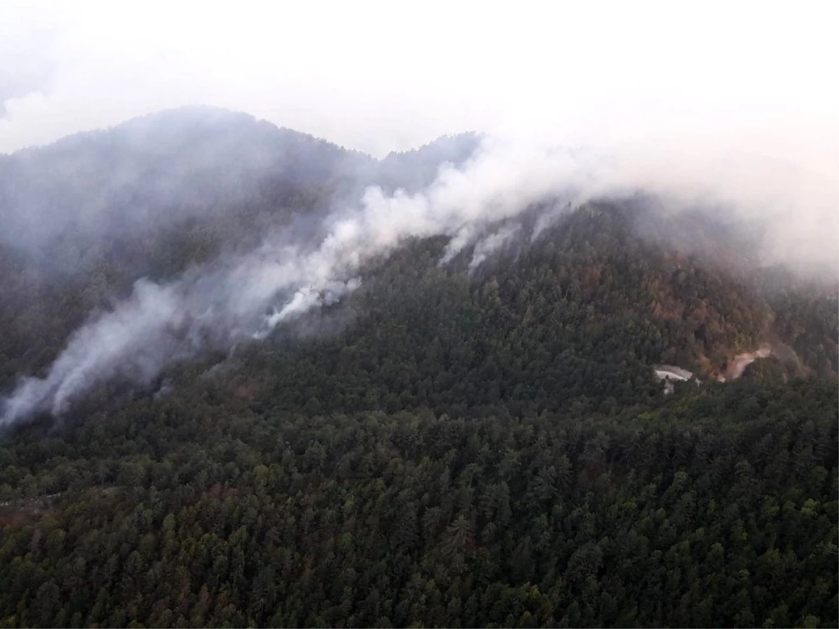Son dakika haberleri | Osmaniye\'deki orman yangınını söndürme çalışmaları devam ediyor