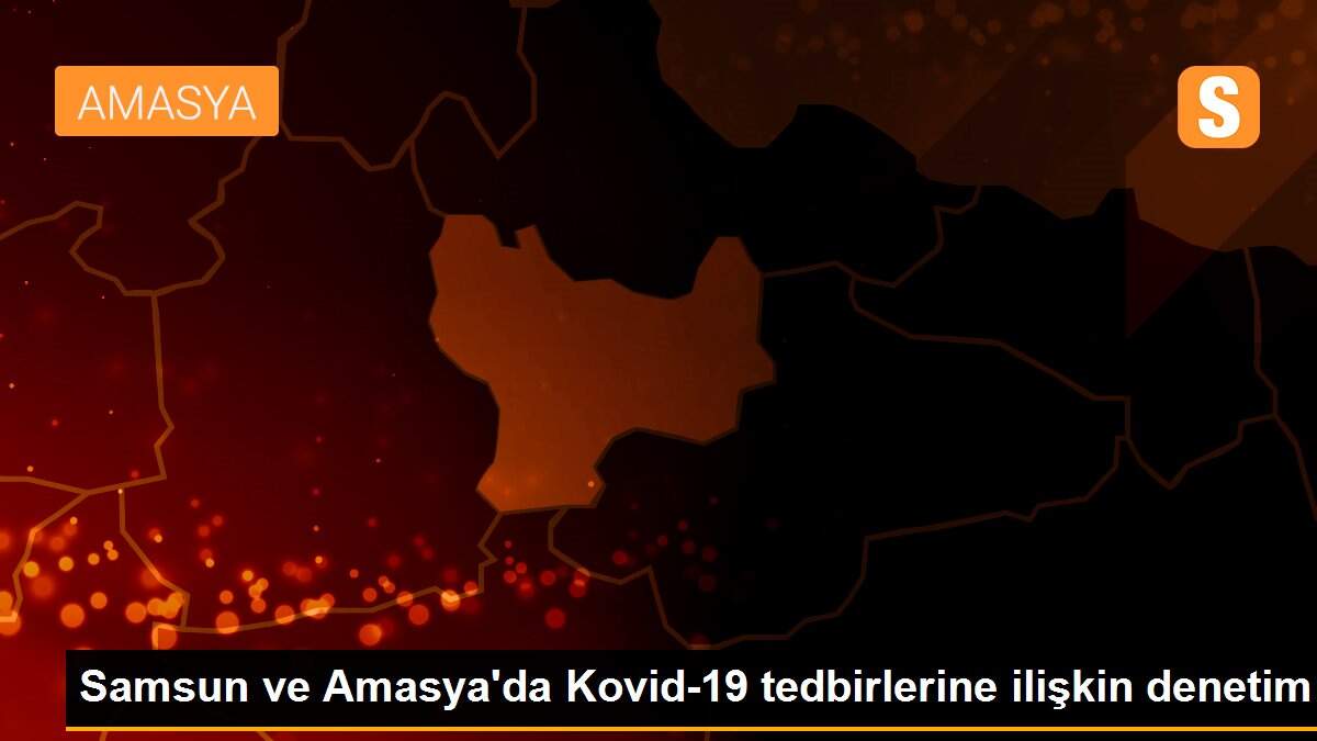 Samsun ve Amasya\'da Kovid-19 tedbirlerine ilişkin denetim