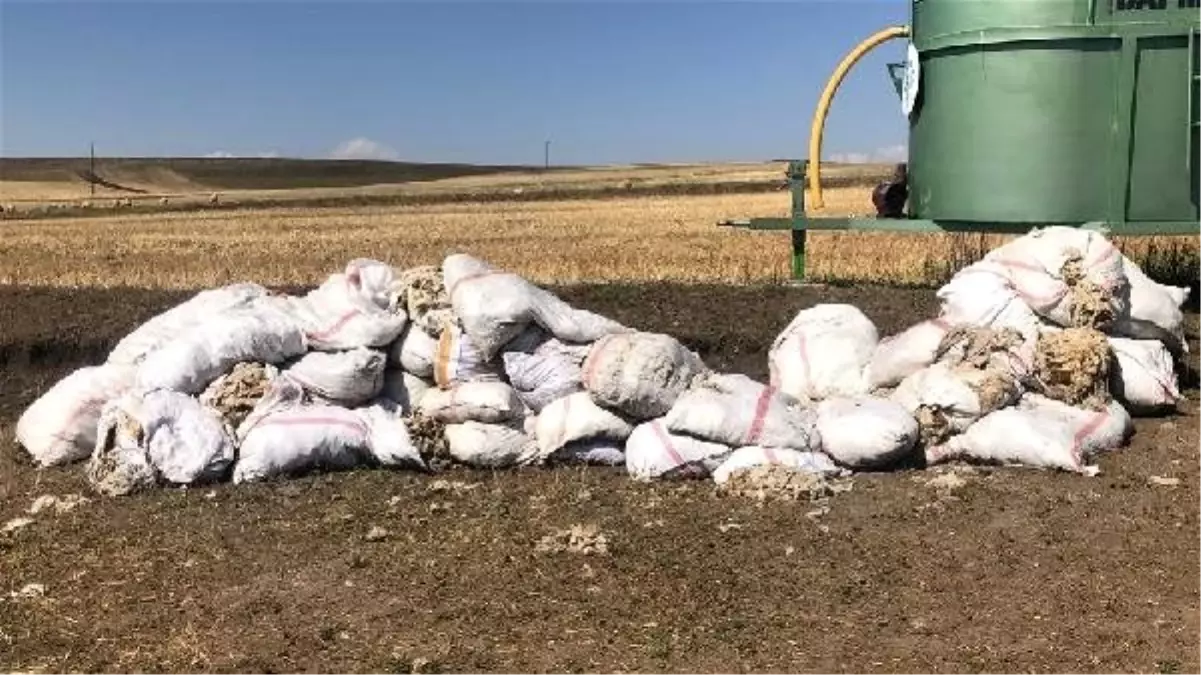 Hazır yorgan ve yataklar yüne ilgiyi azalttı