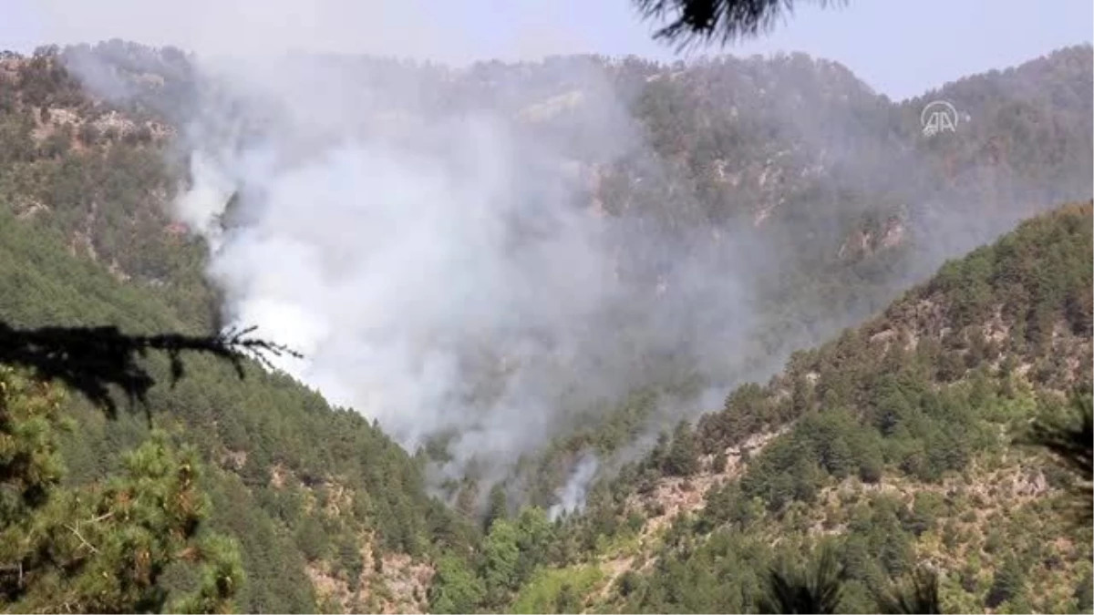 Osmaniye\'deki orman yangınına havadan müdahale yeniden başladı