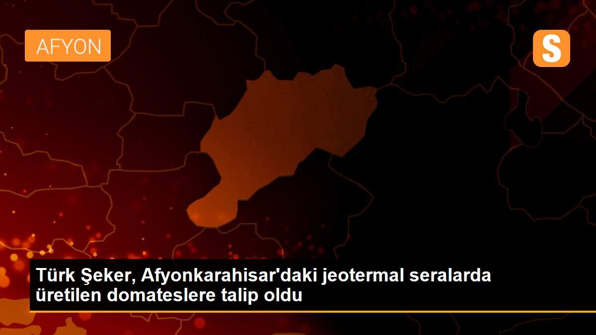 Türk Şeker, Afyonkarahisar\'daki jeotermal seralarda üretilen domateslere talip oldu