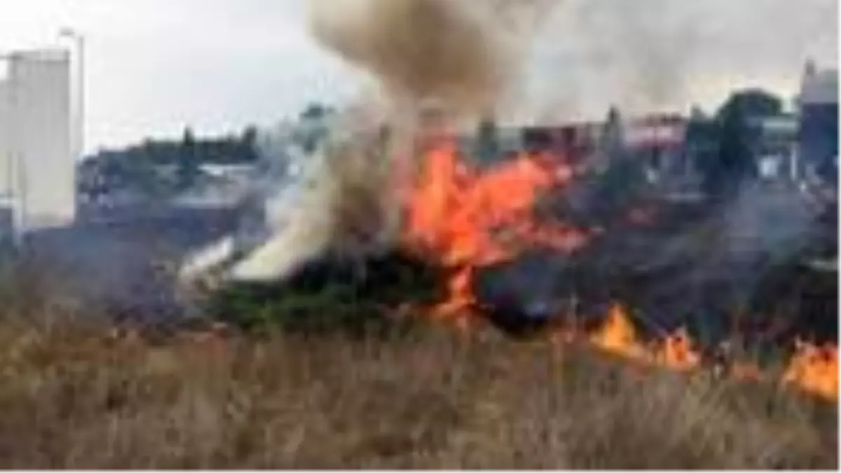 MHP'den ihraç edildikten sonra İYİ Parti'ye geçen Erhan Usta'yı meşalelerle karşılayan partililer, yangına neden oldu