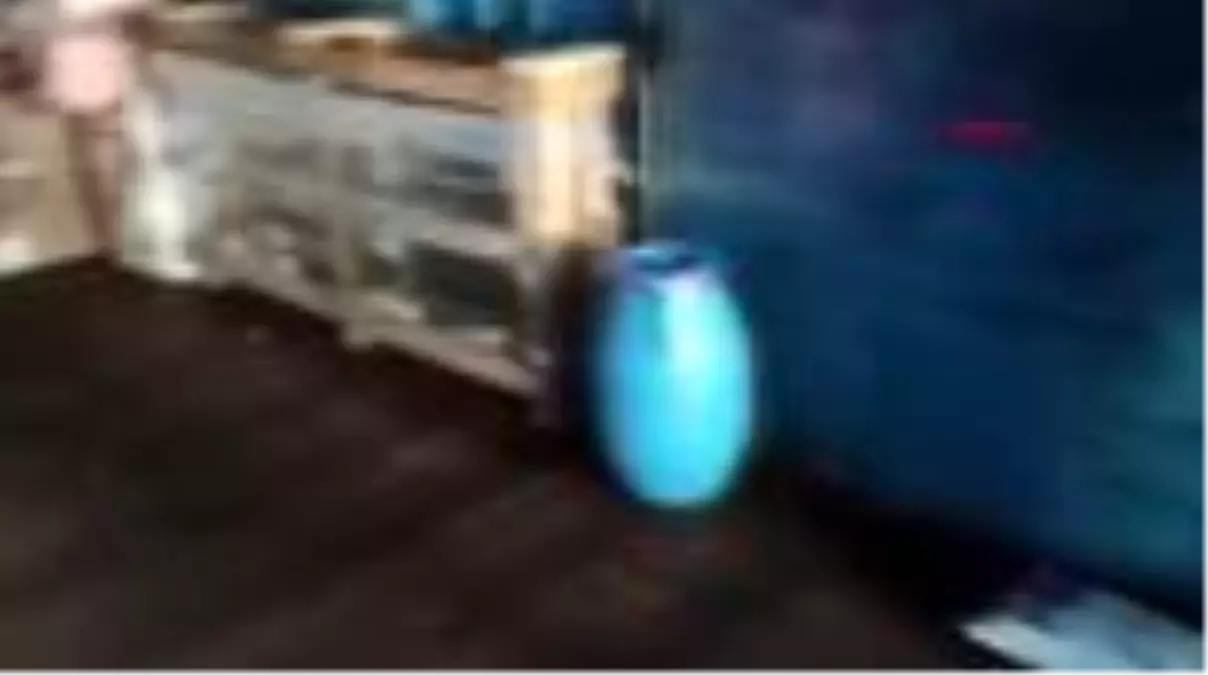 VAN \'Zeus\'lu aramada kargodaki pirinç torbasında uyuşturucu bulundu