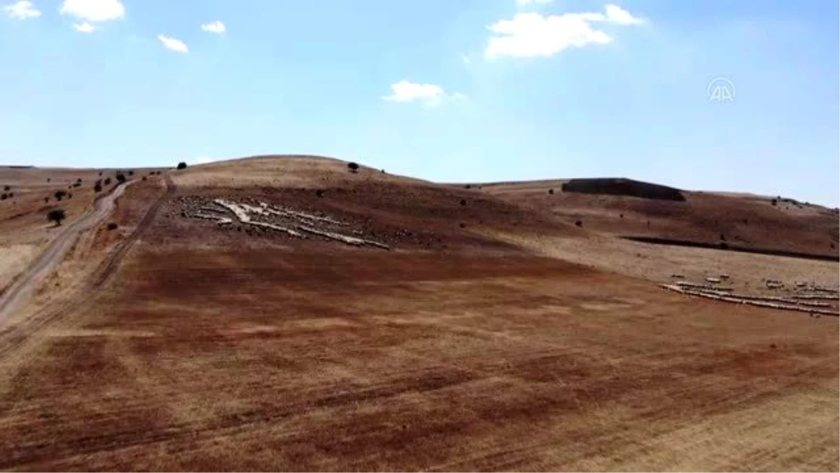 Yayla mesaisini tamamlayan Doğu Anadolu\'daki göçerler dönüş yolunda