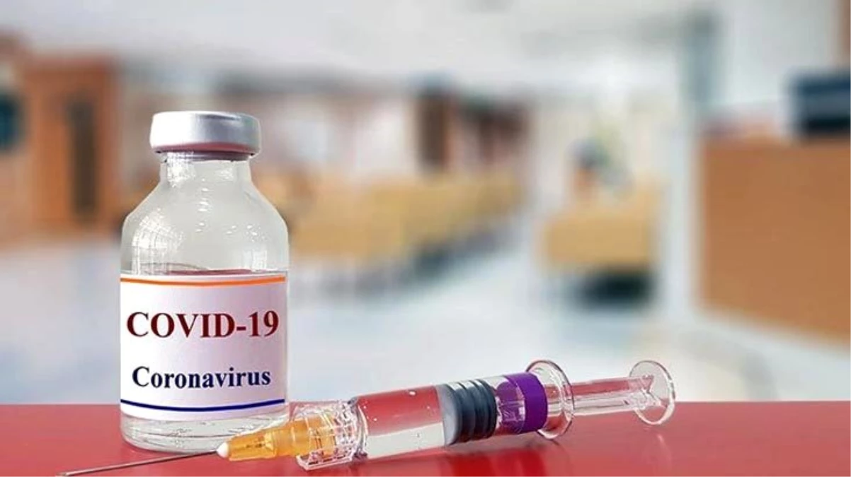 ABD\'li ilaç devi Pfizer, koronavirüs aşısının yıl sonuna kadar piyasaya sürülebileceğini söyledi