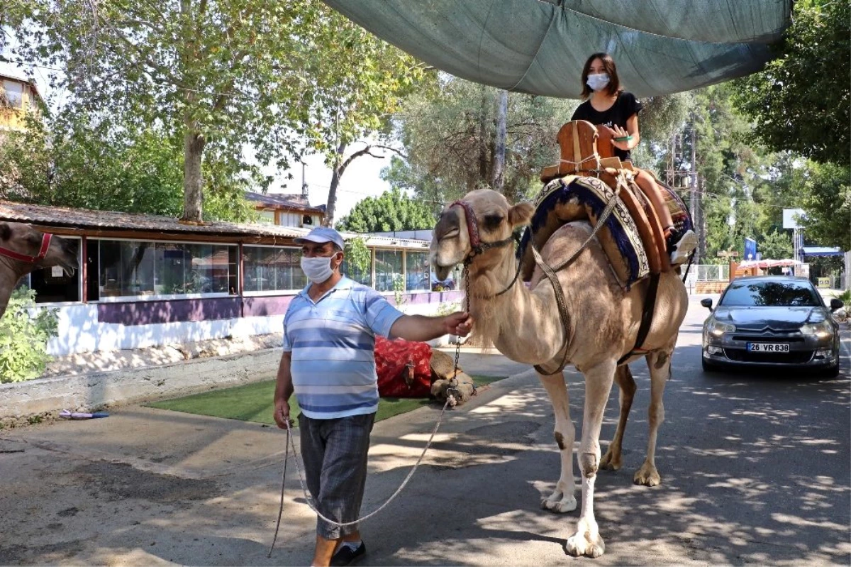 Düden Şelalesi\'ndeki develer turistlerin ilgi odağı oldu! 100 metrelik tur 20 TL, fotoğraf çektirmek 10 TL