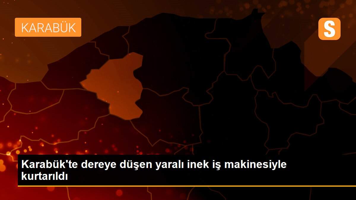 Karabük\'te dereye düşen yaralı inek iş makinesiyle kurtarıldı