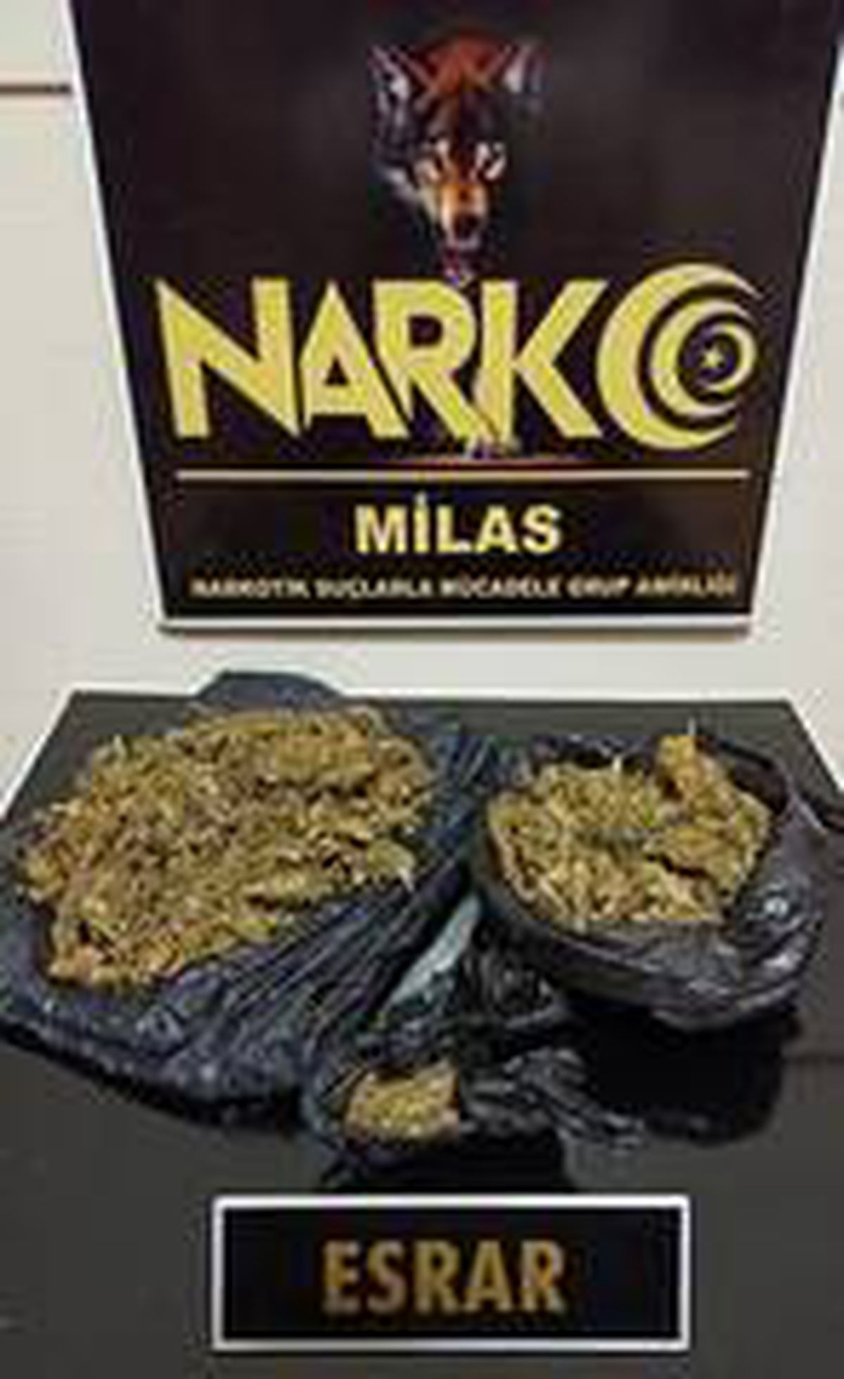 Milas\'ta Narkotik ekiplerinden uyuşturucu operasyonu