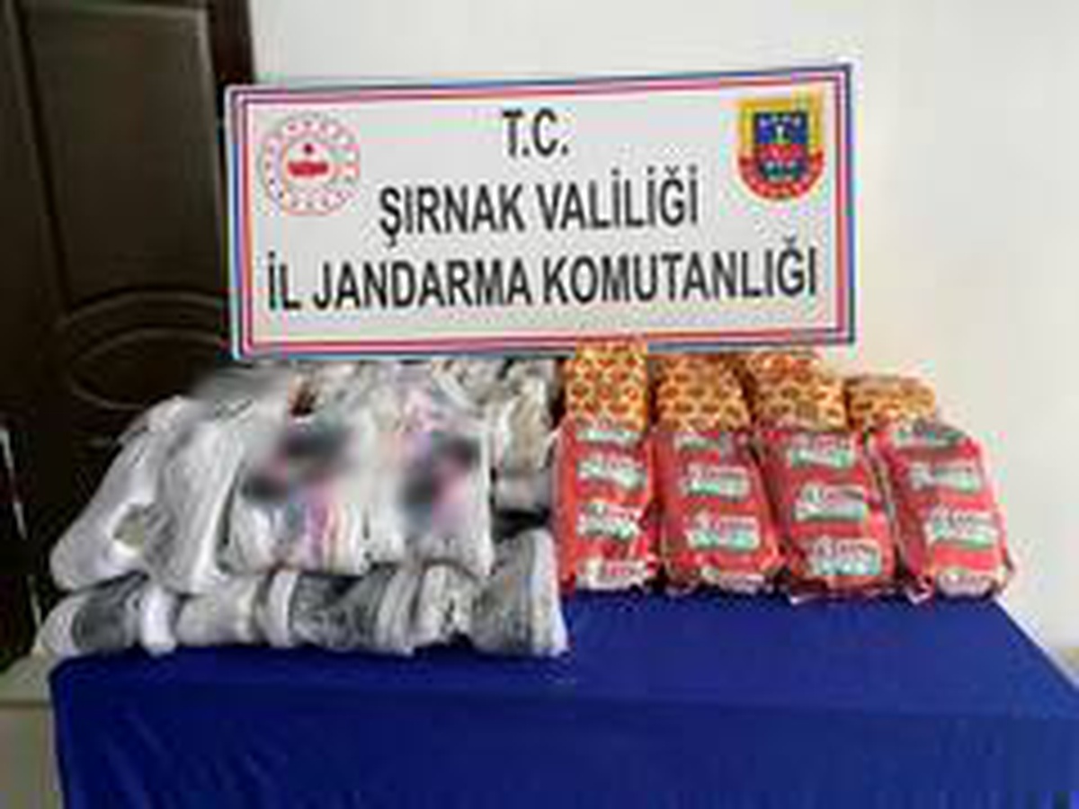 Son dakika... Şırnak\'ta kaçakçılık operasyonu: 66 gözaltı