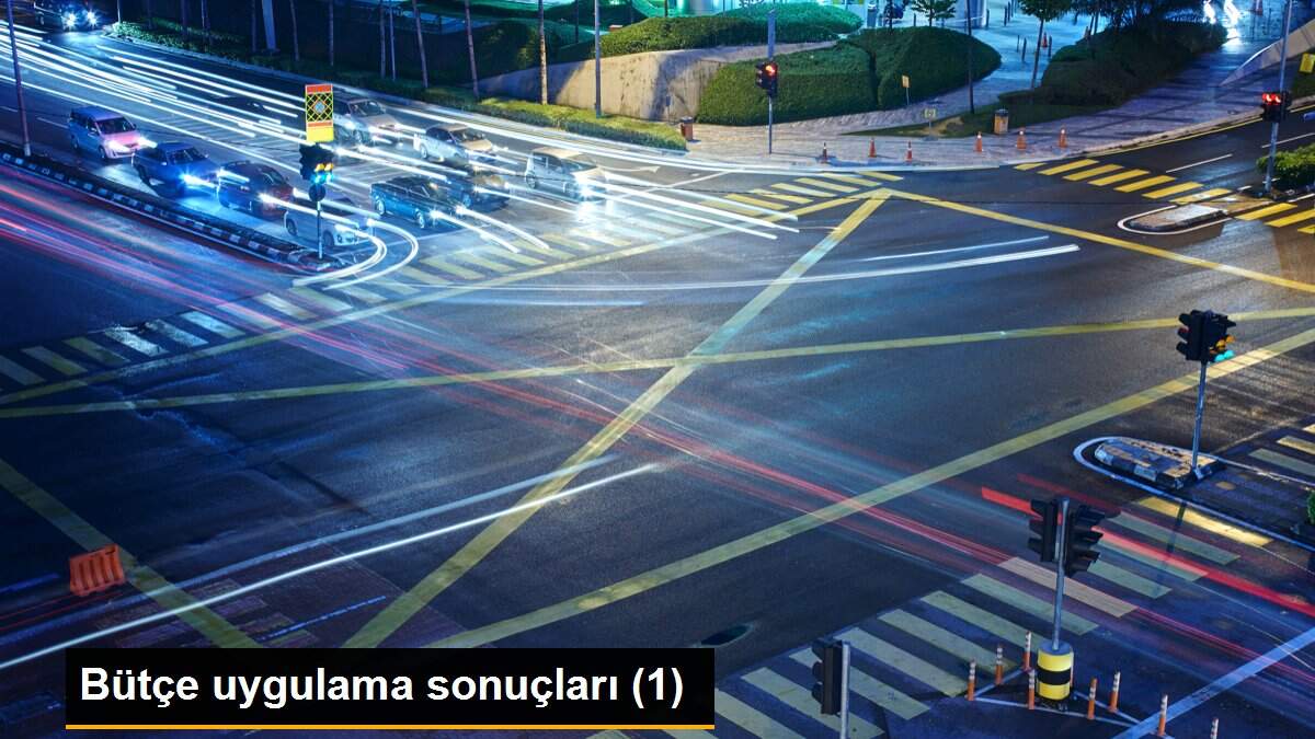 Bütçe uygulama sonuçları (1)