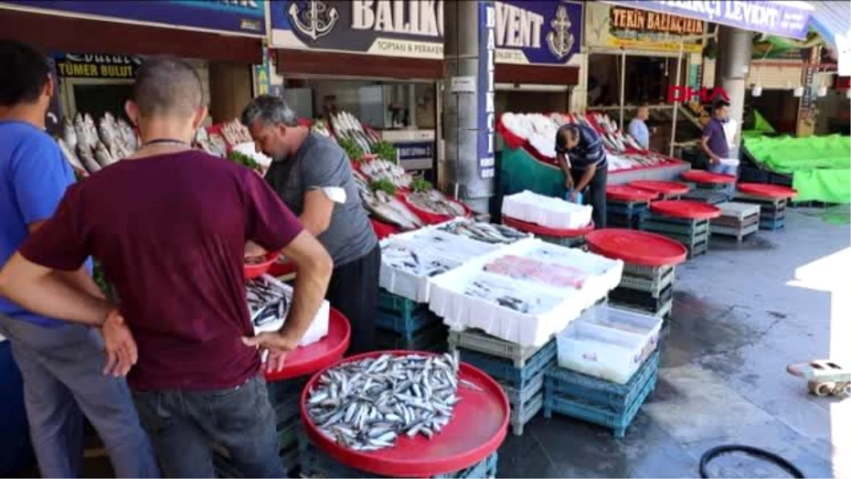 GAZİANTEP Sezonu açan balıkçılar 40 aileye balık dağıttı