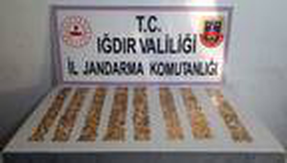 Iğdır\'da 1005 adet tarihi sikke ele geçirildi