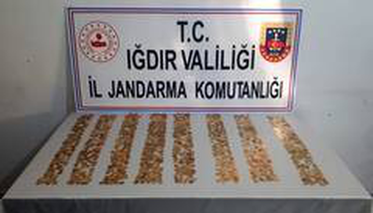 Iğdır\'da tarihi eser kaçakçılığı: 1 gözaltı