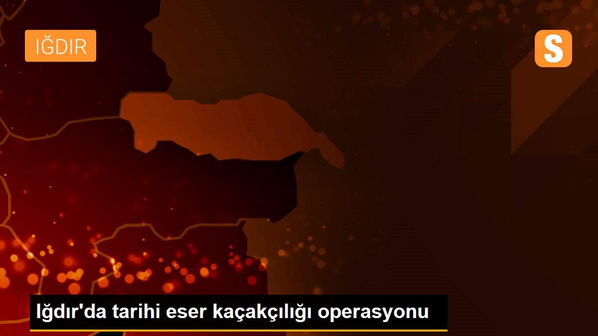 Iğdır\'da tarihi eser kaçakçılığı operasyonu