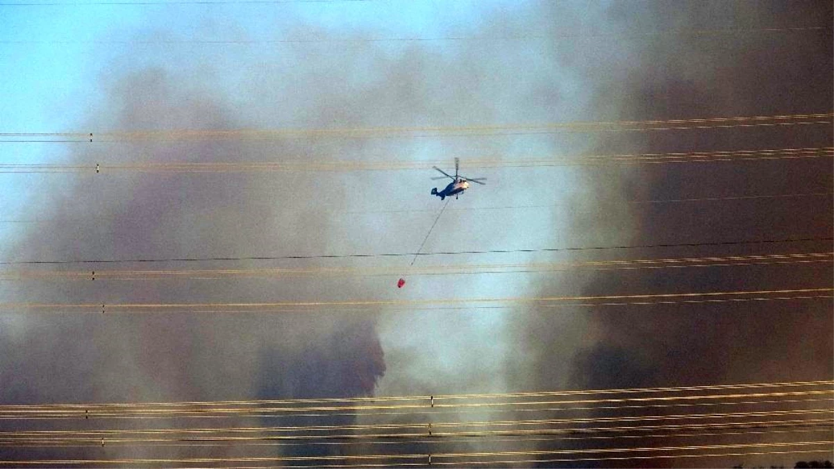 Son dakika haberleri | Kavakköy\'deki orman yangını kontrol altına alındı
