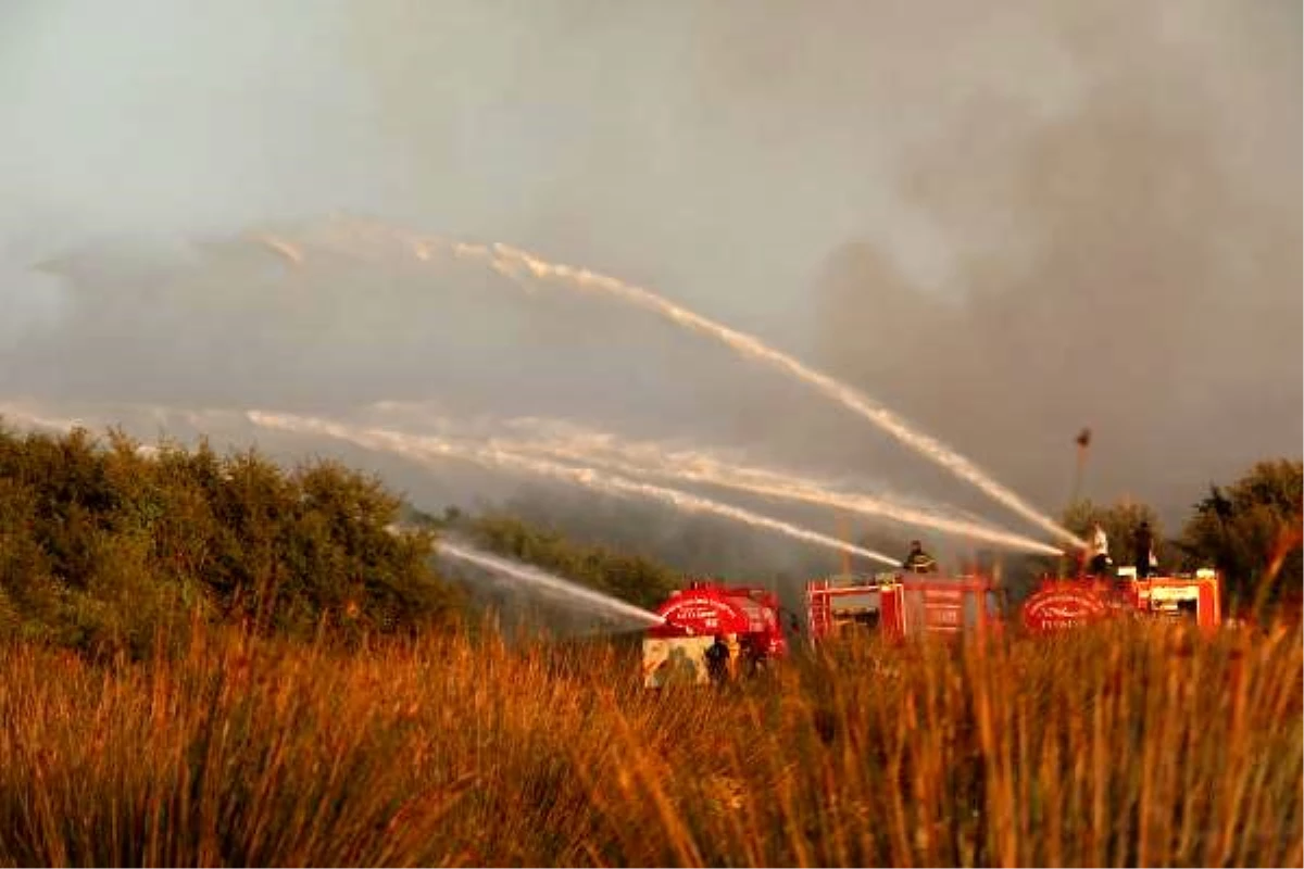 Kızılırmak Deltası Kuş Cenneti\'nde sazlık yangını (2)
