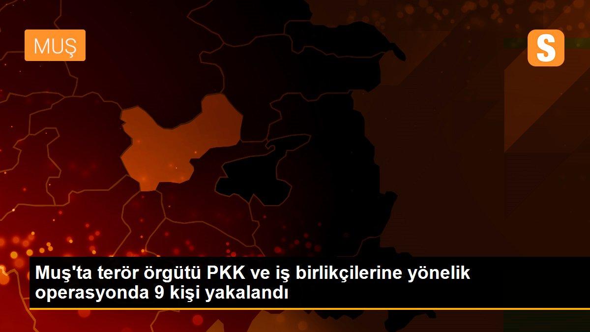 Son dakika haber | Muş\'ta terör örgütü PKK ve iş birlikçilerine yönelik operasyonda 9 kişi yakalandı