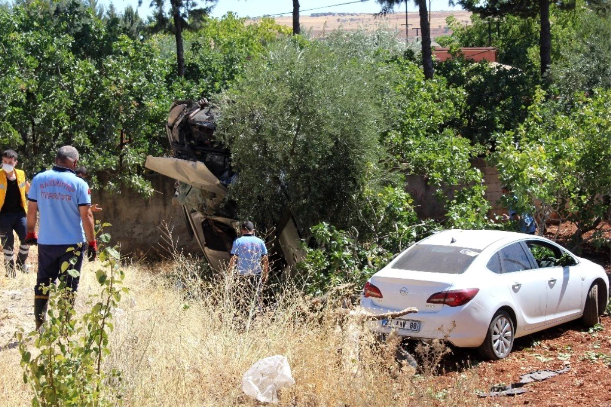 Tarlaya uçan araca fıstık ağacı ok gibi saplandı: 6 yaralı