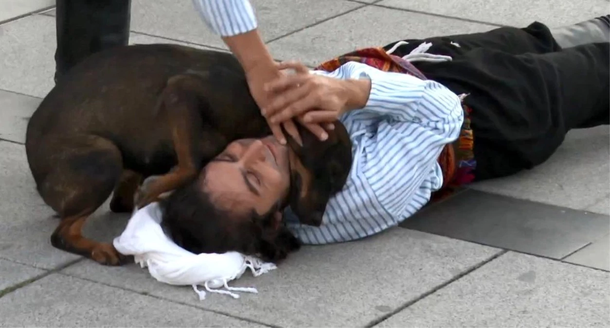 Yaralı rolü yapan oyuncuya şefkat gösteren köpeği belediye sahiplendi