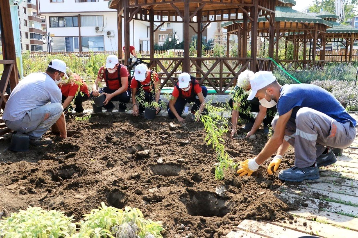 Atakum Belediyesi AtaTohum\'da ilk üretim tamamlandı