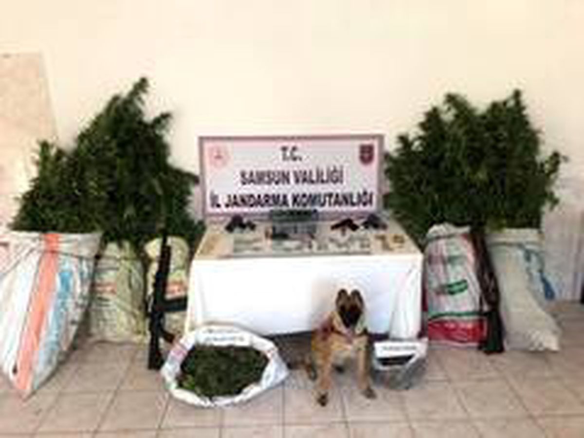 Son dakika haberleri! Bafra\'da jandarma ekipleri uyuşturucu ve silah ele geçirdi