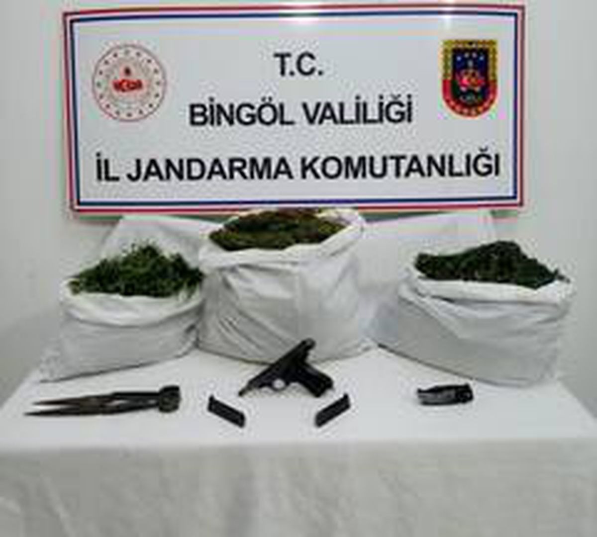 Bingöl\'de 6,5 kilo esrar ile bin 688 kök kenevir ele geçirildi