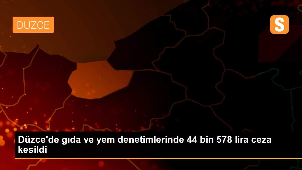Düzce\'de gıda ve yem denetimlerinde 44 bin 578 lira ceza kesildi