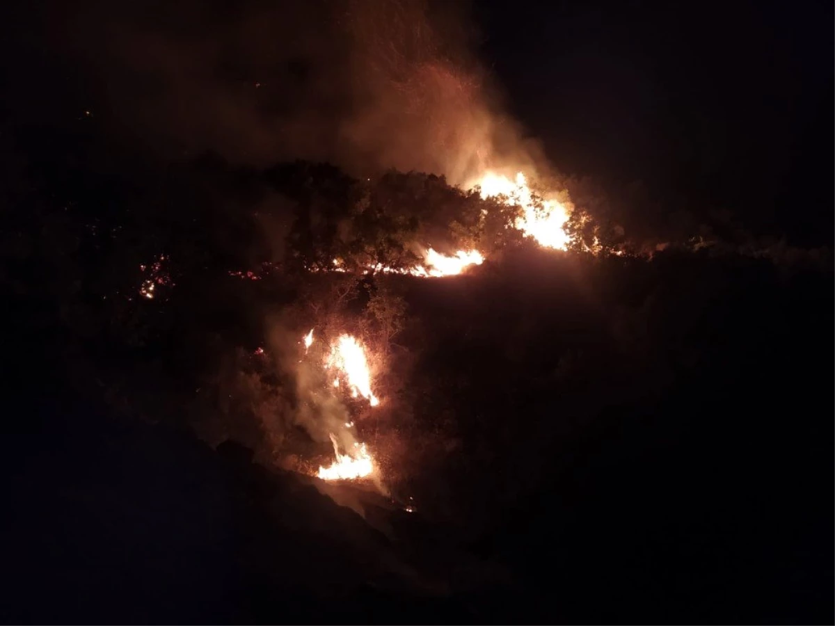Son dakika haber: Elazığ\'daki orman yangını 30 saatte kontrol altına alındı