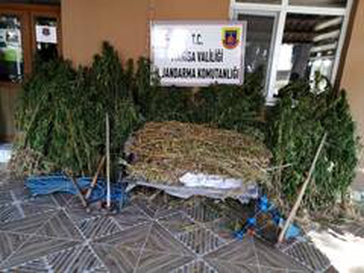 Manisa\'da uyuşturucu operasyonu